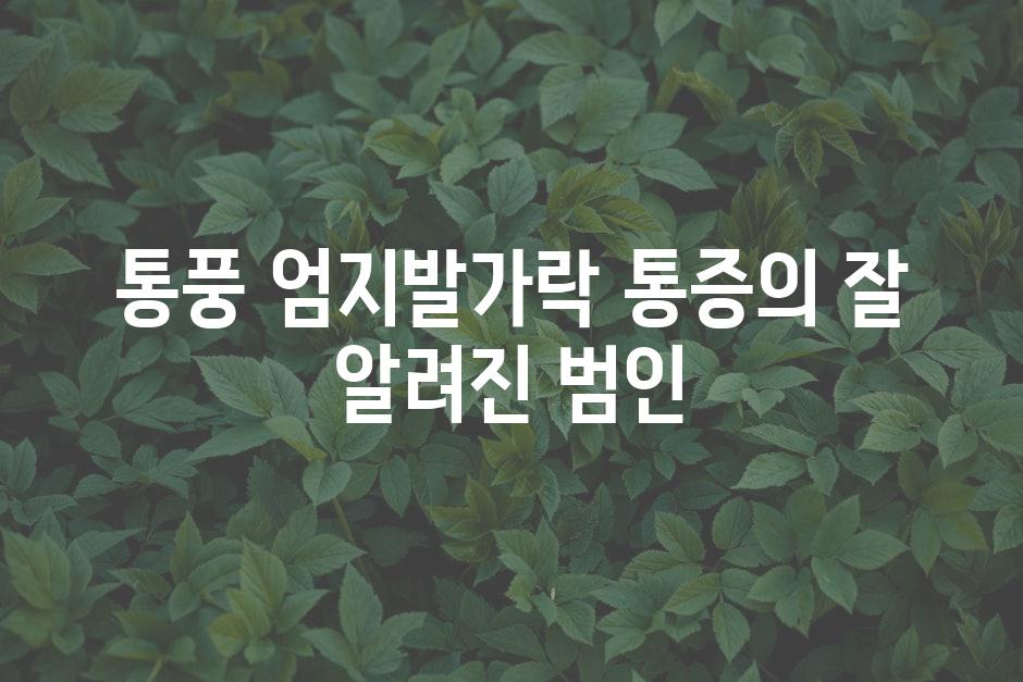 통풍 엄지발가락 통증의 잘 알려진 범인