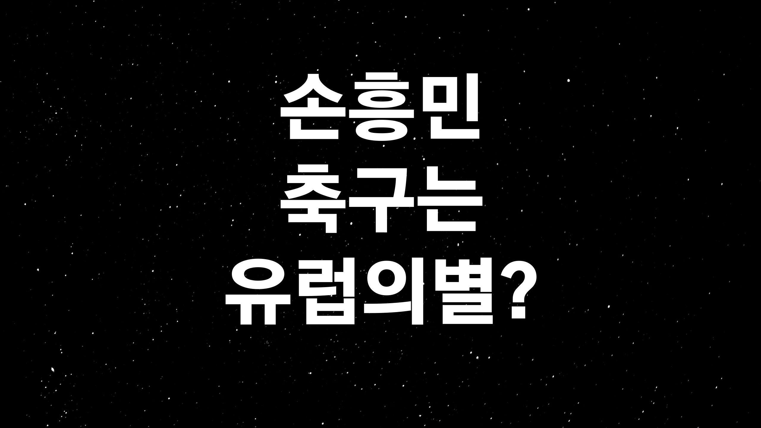  손흥민 축구 인생 (ft. 득점기계 호날두와 비견될 정도?)