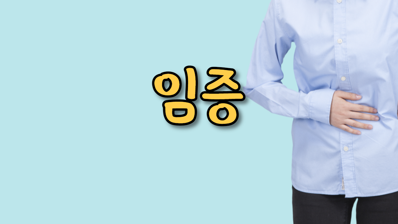  임증