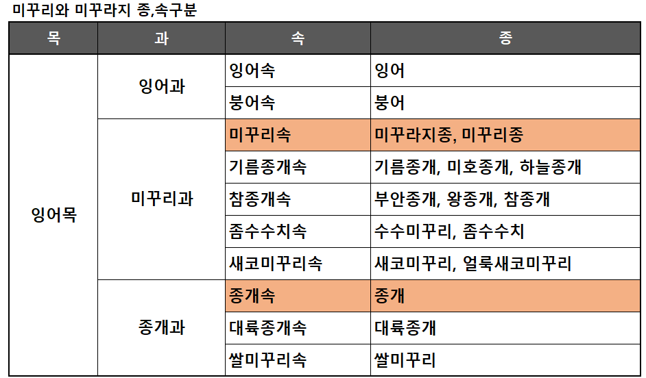 미꾸리 종&#44;속 구분표