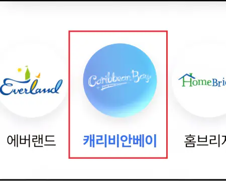 캐리비안베이입장료찾기