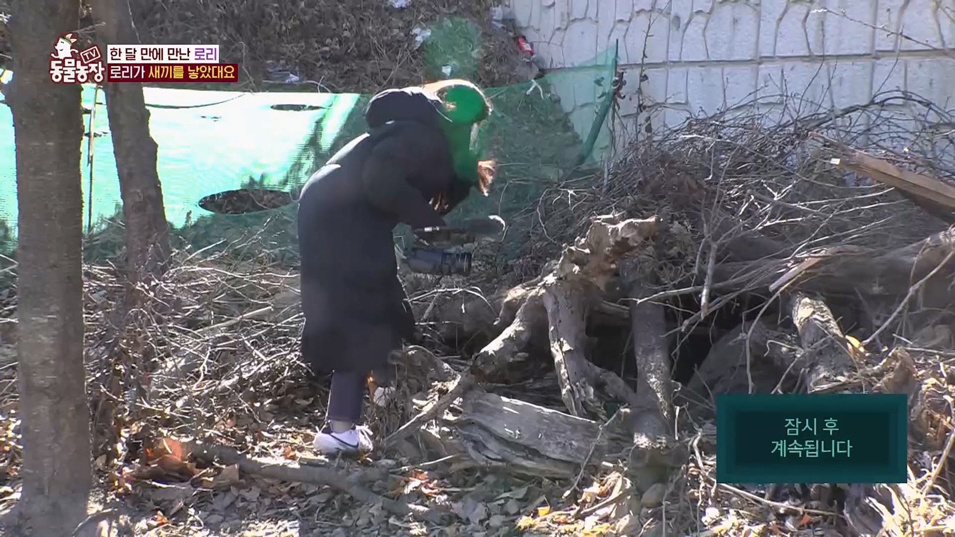 TV 동물농장.E1109.230219p.H264-F1RST.mp4_20230219_142852.133.jpg