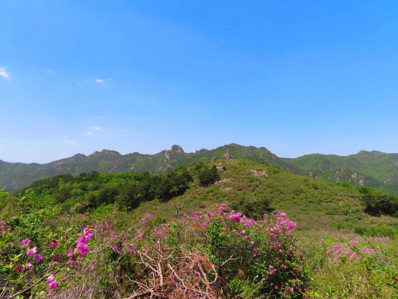 블랙야크 100+, Y출렁다리, 32