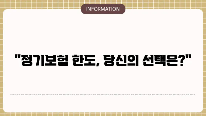 정기보험 한도 가입 가능 금액