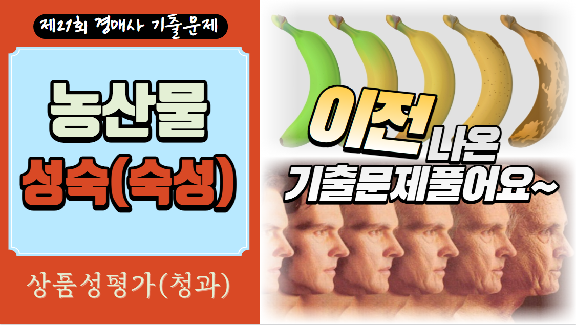  [제21회 경매사 기출문제-청과부류상품성평가①] 늙어 가는 것이 아니라 익어 가는 것입니다. 농산물의 성숙(숙성)!