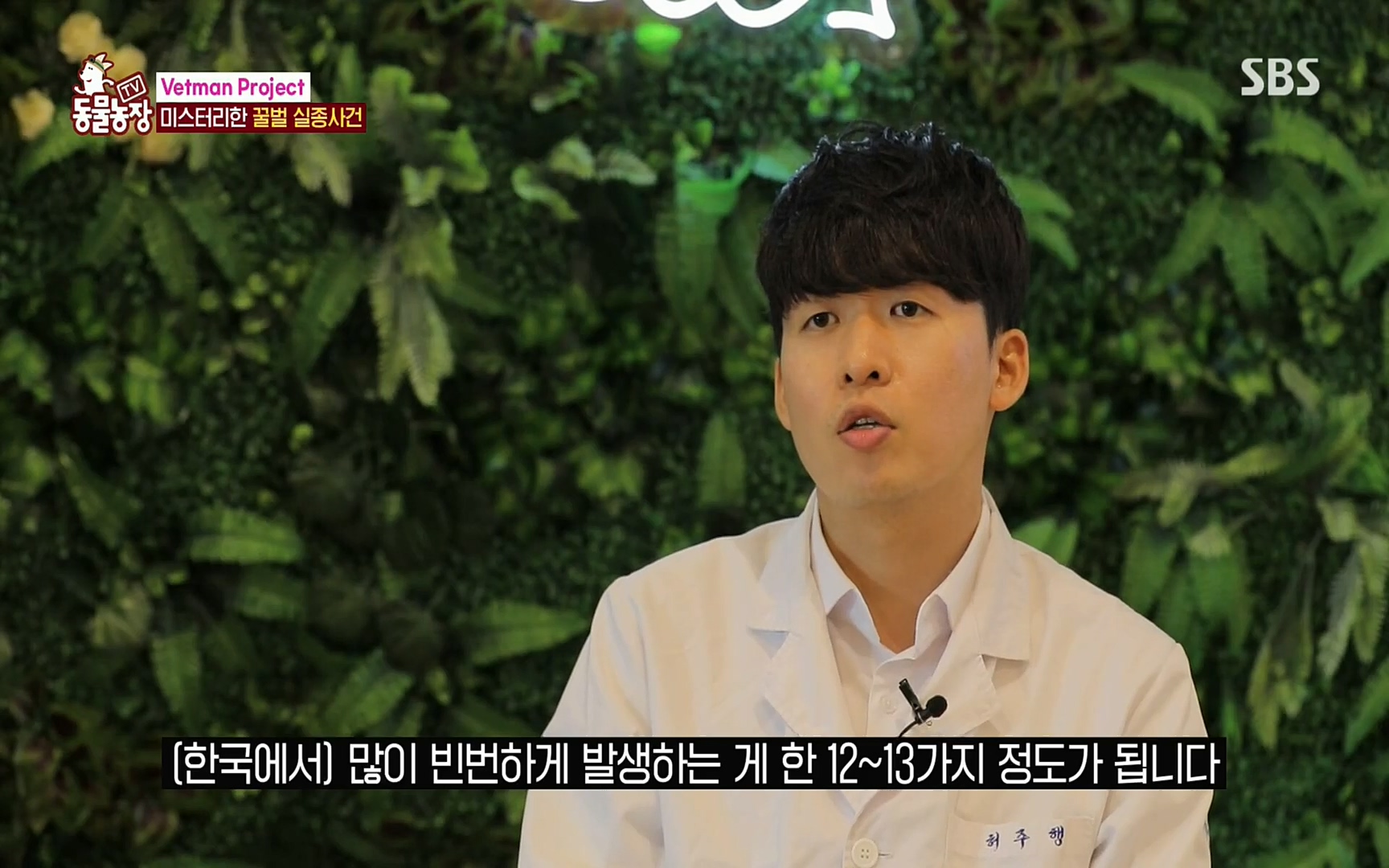 TV 동물농장.E1072.220605p.H264-F1RST.mp4_20220605_180626.310.jpg