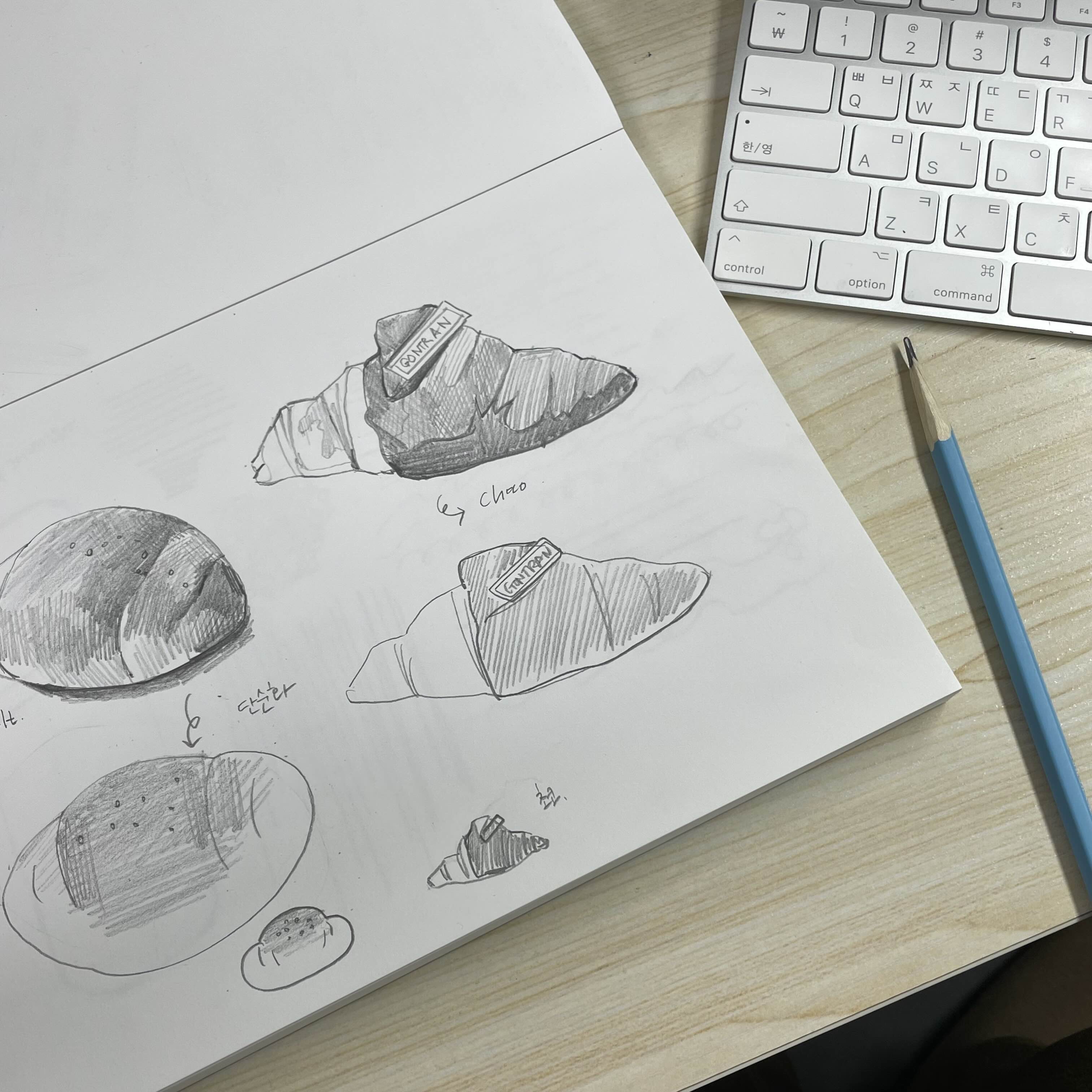  D.1/100 drawing Challenge Start.