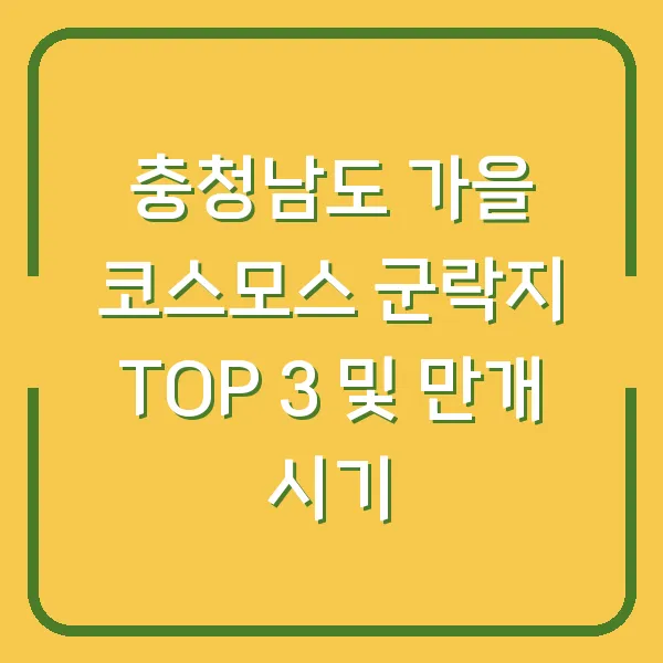 충청남도 가을 코스모스 군락지 TOP 3 및 만개 시기