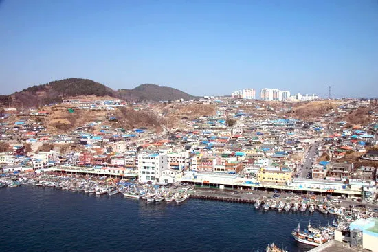 강원도 묵호 여행 묵호항 수산시장 등대 명소_7