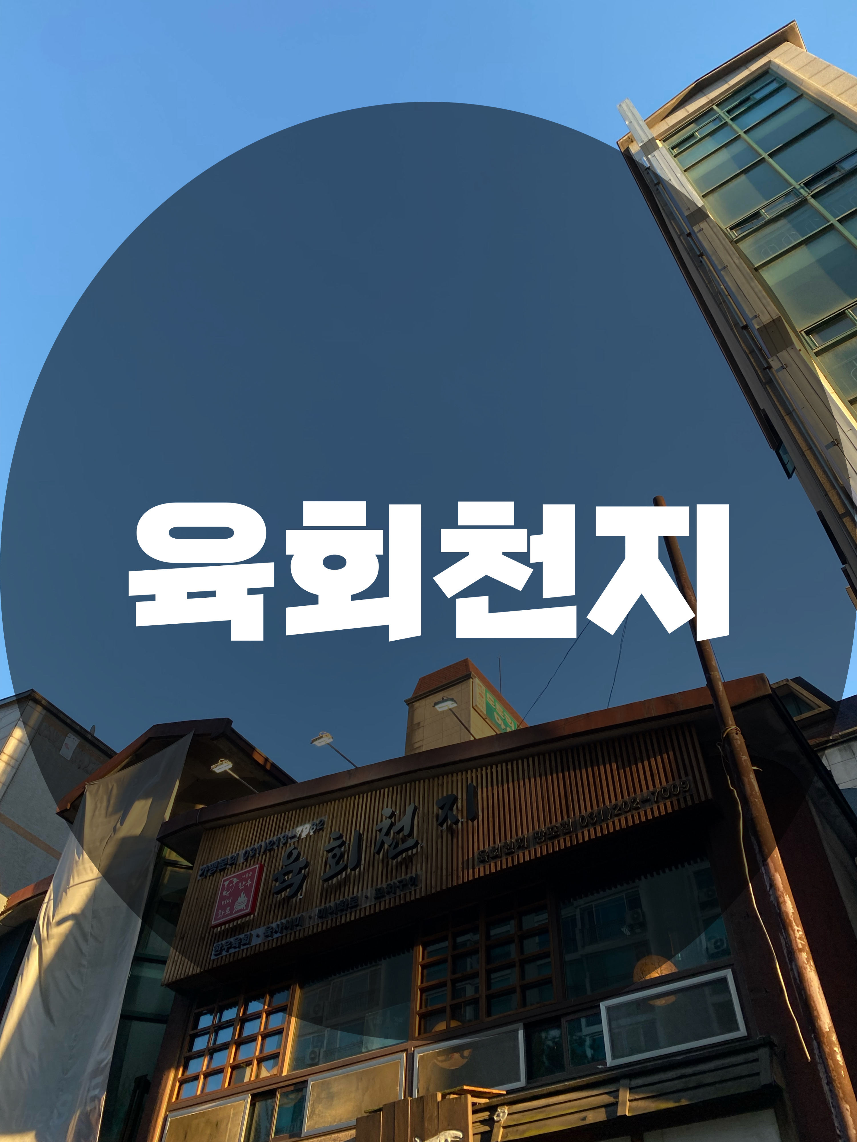  : 수원시 영통구 망포역 : 분위기도 좋고 육회 맛도 좋은 육회천지 망포점 이자카야