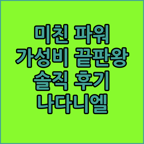 나다니엘 SYR03 전기 자전거 솔직