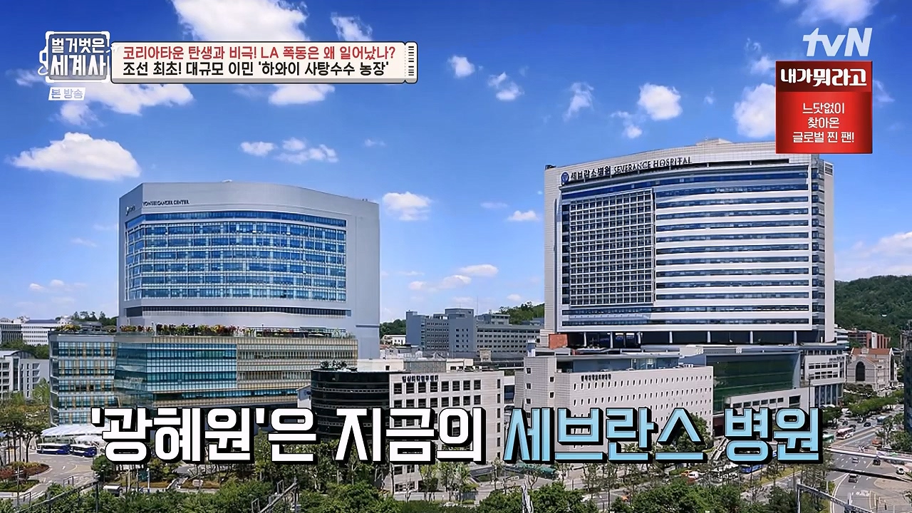 벌거벗은 세계사.E127.231129p-NEXT.mp4_20240608_163120.808.jpg