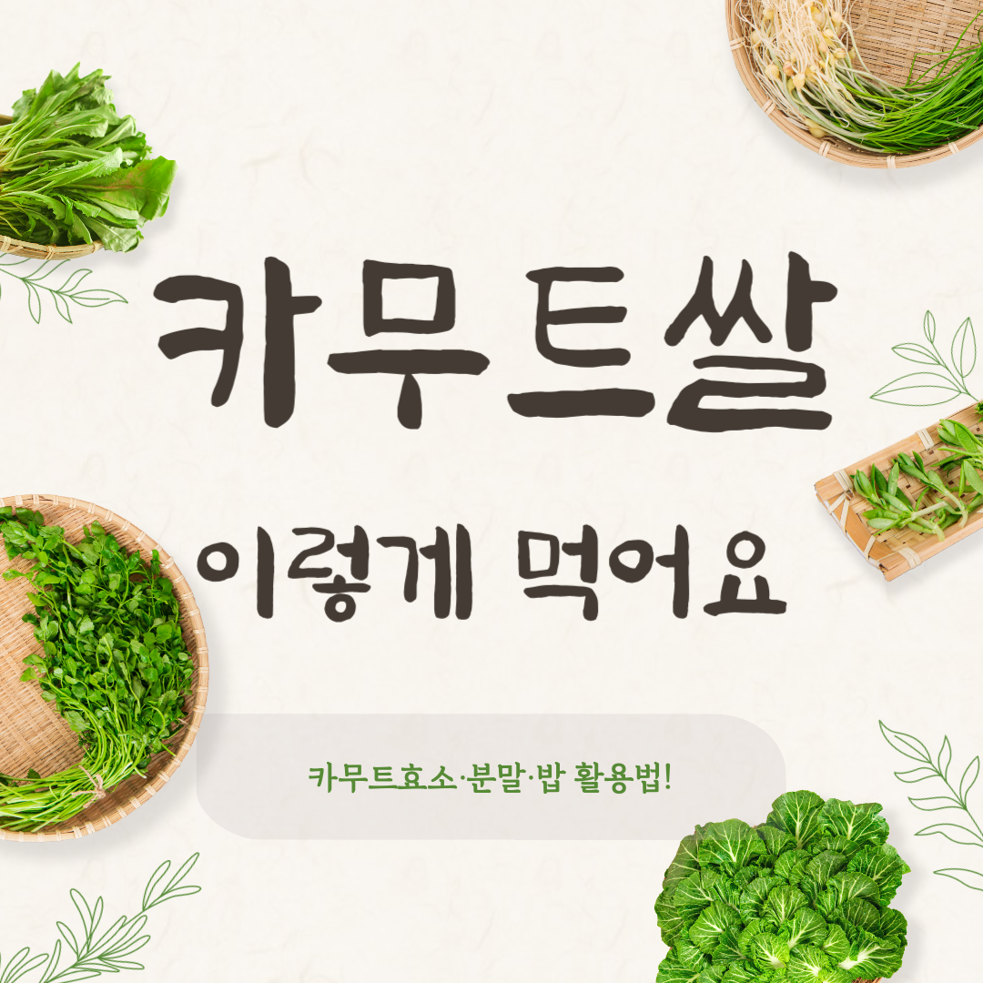 카무트쌀 이렇게 먹어요｜카무트효소·분말·밥 활용법
