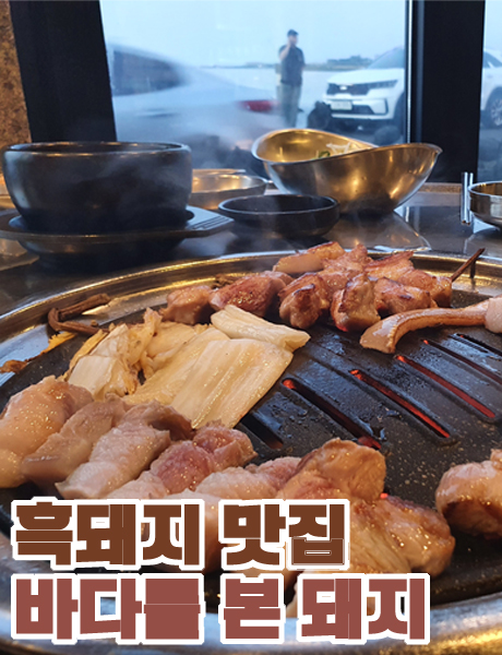  바다를 본 돼지 제주 판포포구 흑돼지 맛집