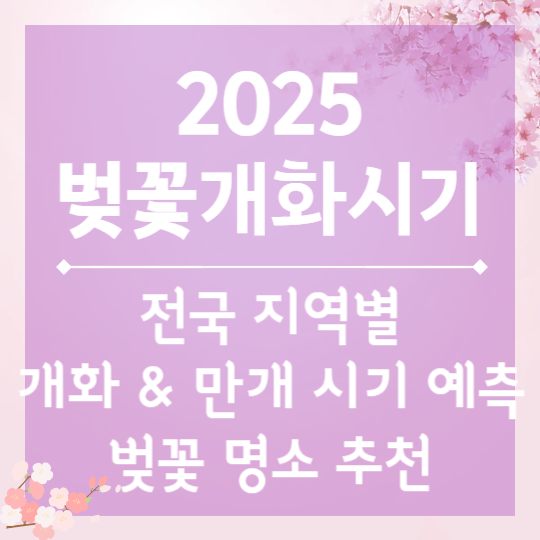 2025 벚꽃 개화시기 &amp; 벚꽃 명소 추천