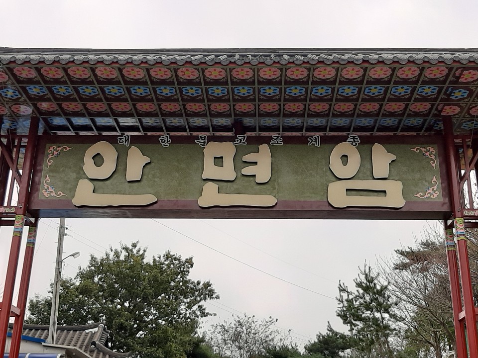 img.jpg