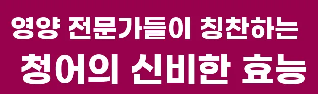 영양 전문가들이 칭찬하는 청어의 신비한 효능