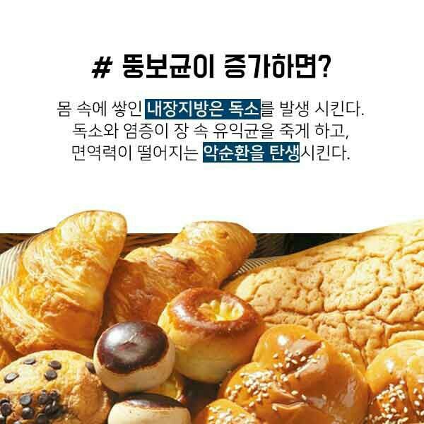  살이 왜찌는걸까요?? 살 찌는 이유 뚱보균 음료수 과자 액상과당 내장지방 세포증식