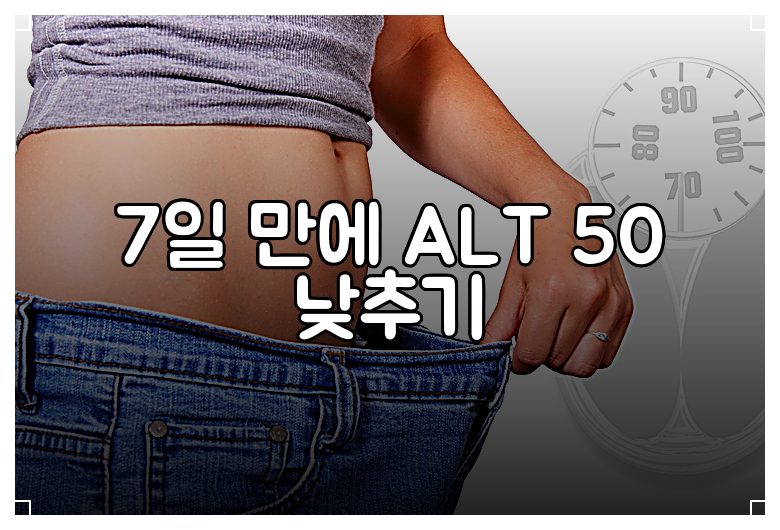 7일 만에 ALT 50 낮추기
