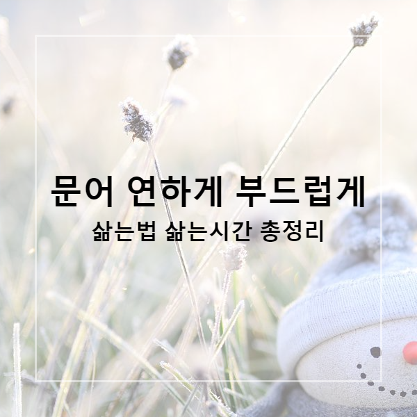  문어 연하게 부드럽게 삶는법 삶는시간 총정리 (문어숙회)