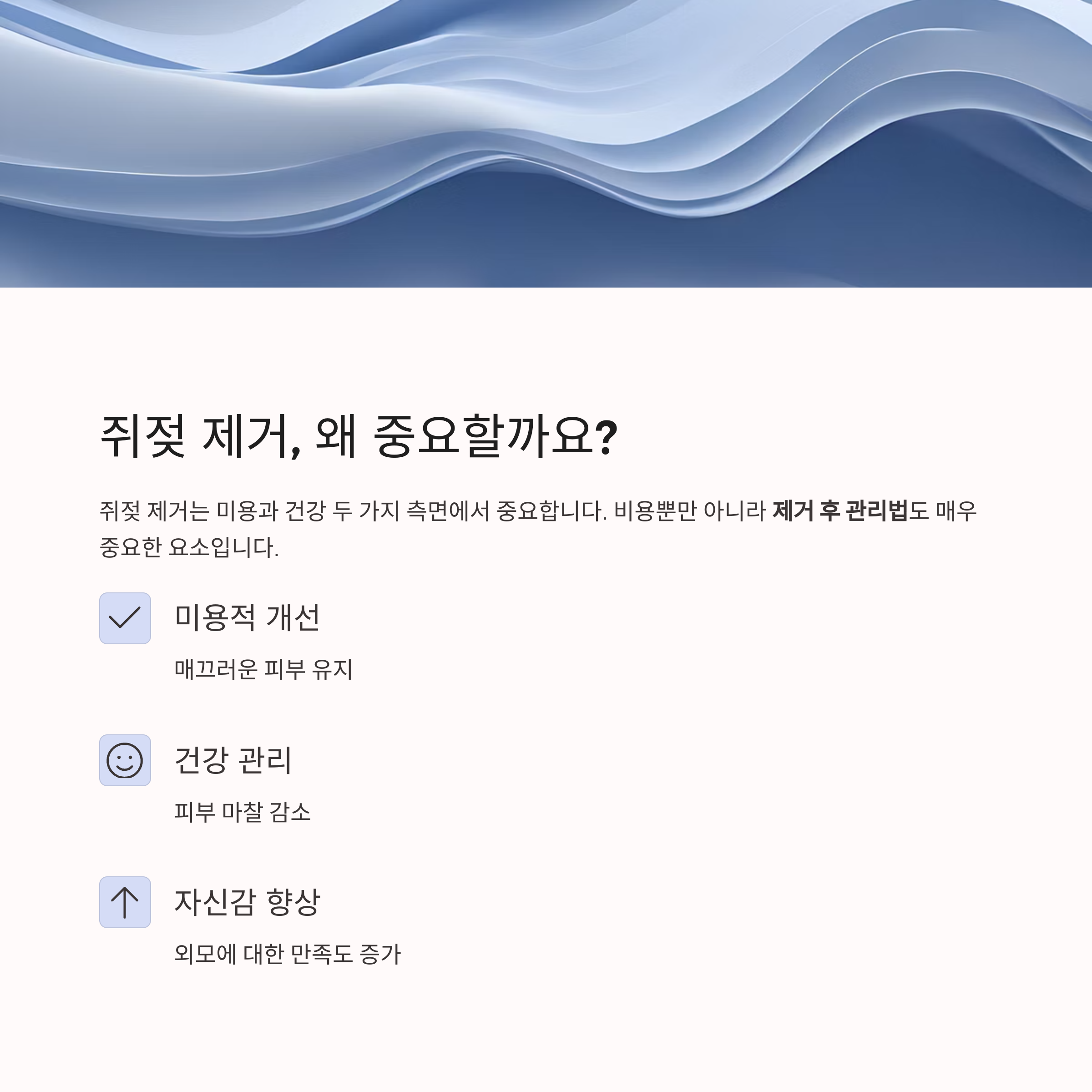 쥐젖 제거 비용