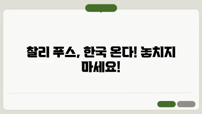찰리푸스 내한 공연 일정