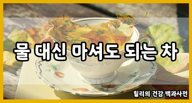 물 대신 마셔도 되는 차