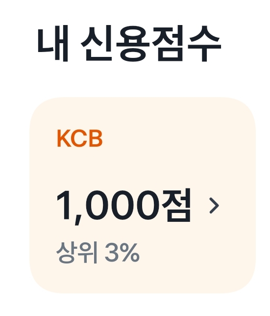  나만의 신용도 1000점 유지하는 법