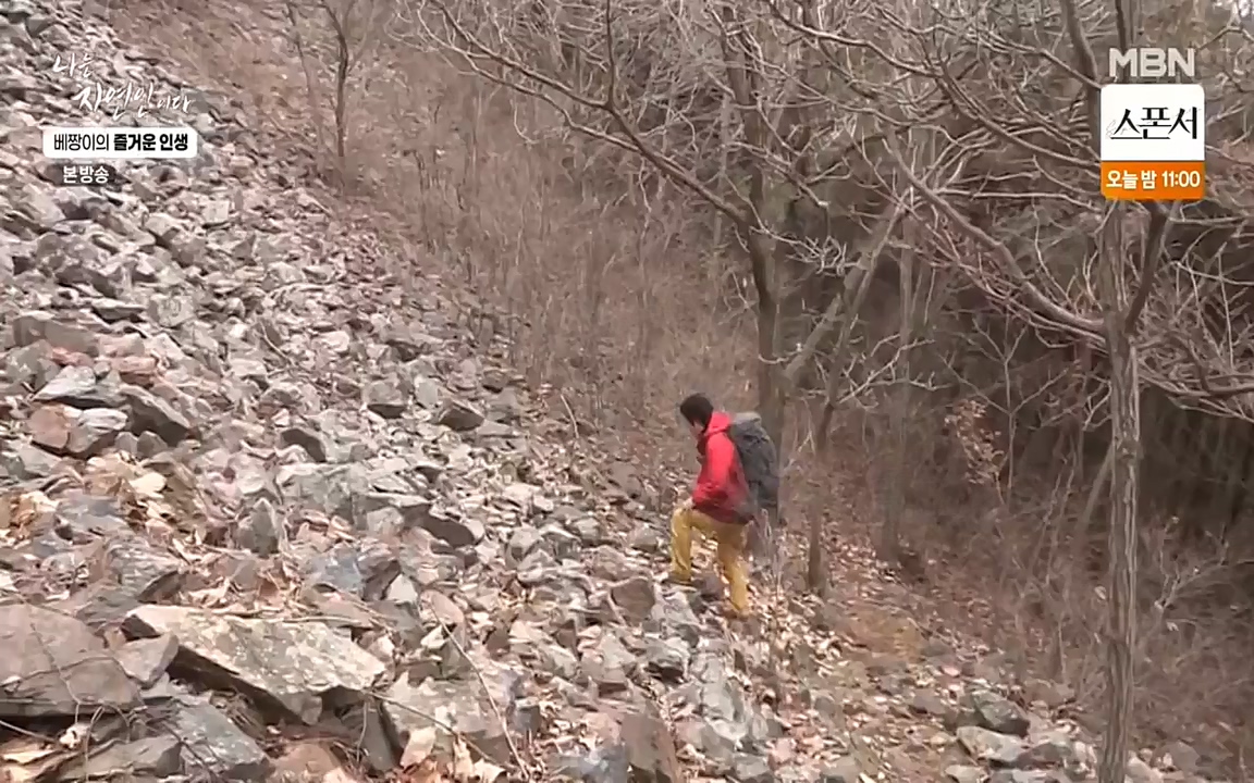 나는 자연인이다.E495.220331p-NEXT.mp4_20220331_174323.186.jpg