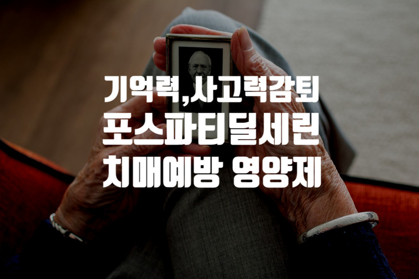  <포스파티딜세린> 사고력,기억력개선,치매예방 : 어떤제품을 먹어야할까