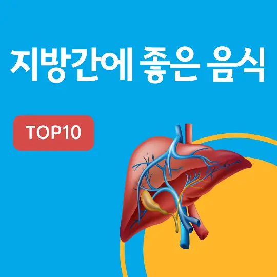 지방간에 좋은 음식 TOP10