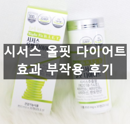 서스 올핏 다이어트