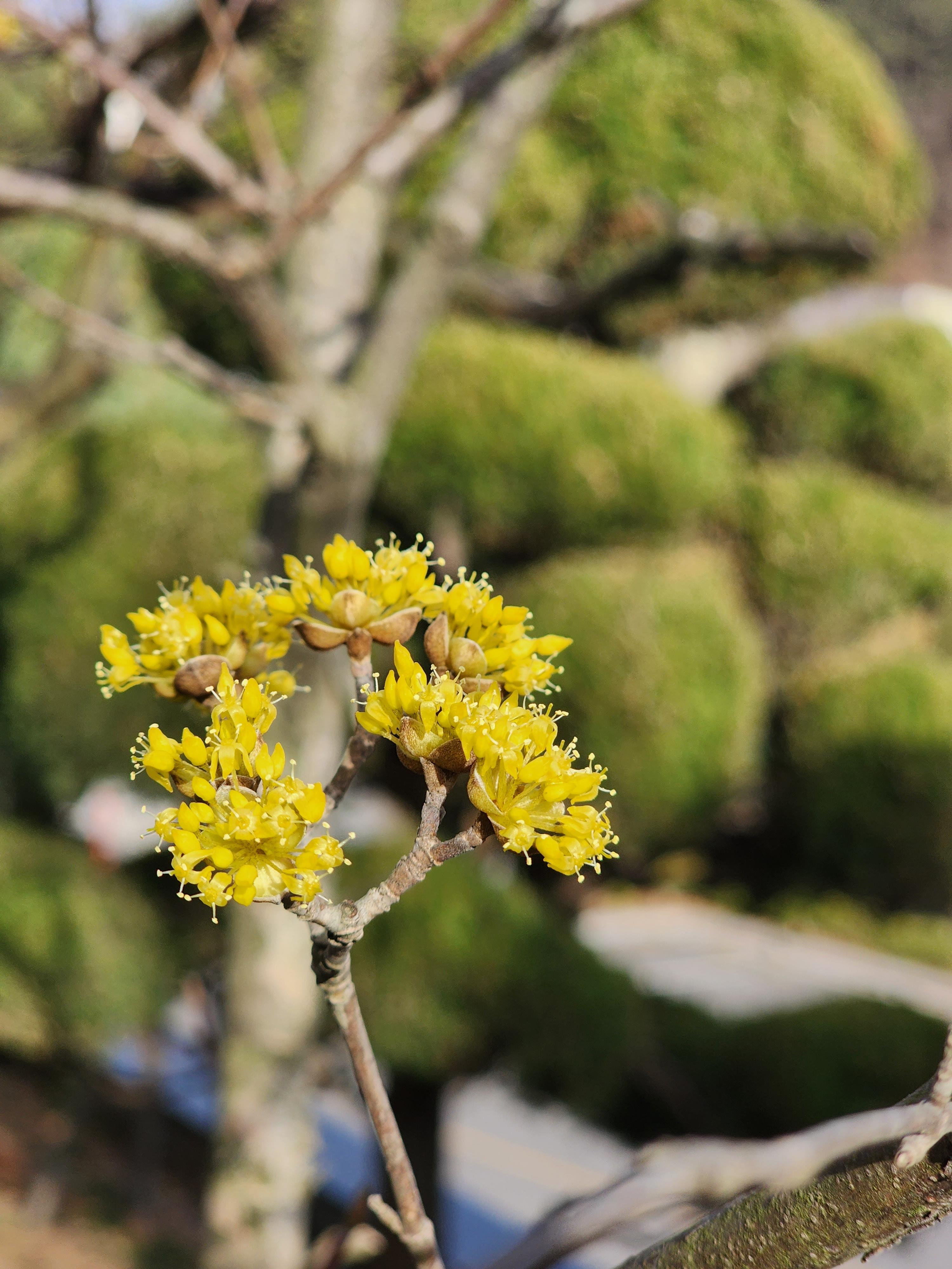 #을왕리 해수욕장 26