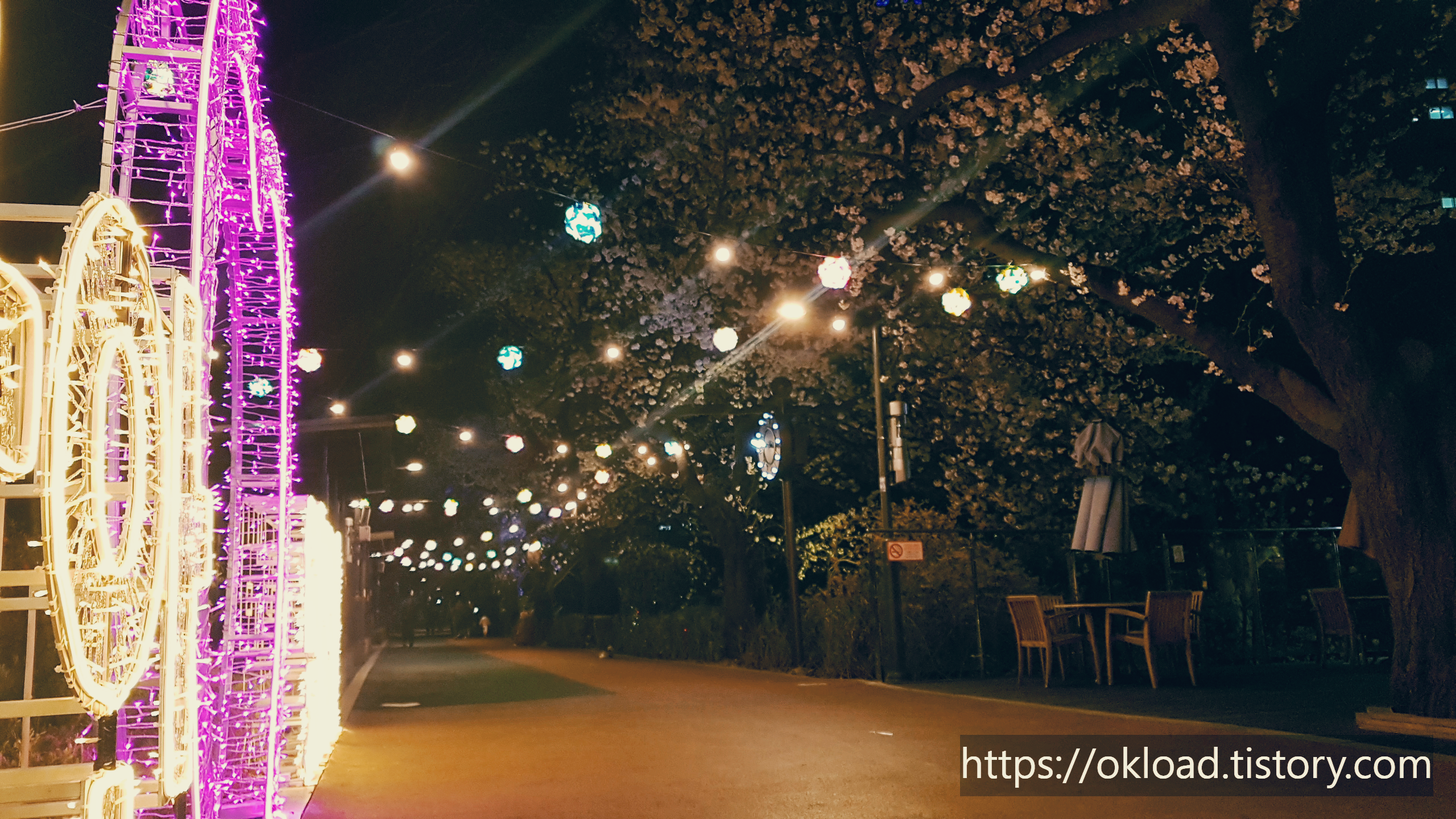 장안동 벚꽃길 ~ 중랑천 벚꽃길 산책 (서울 벚꽃 명소 봄나들이) 3