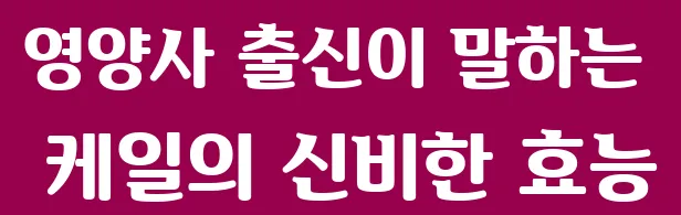 영양사 출신이 말하는 케일의 신비한 효능