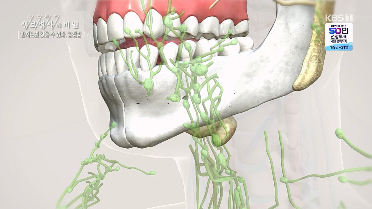 생로병사의 비밀.E851.230112p.H264-F1RST.mp4_20230119_200622.798.jpg