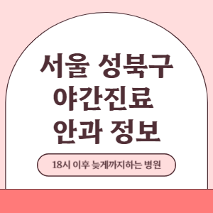 서울 성북구 야간진료 안과 병원 (18시 이후 늦게까지하는 병원)