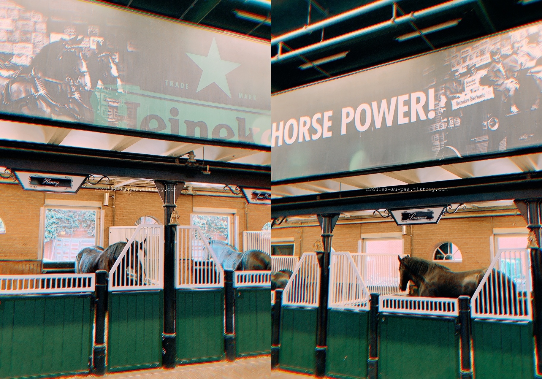 AMSTERDAM-Heineken Experience-HORSES