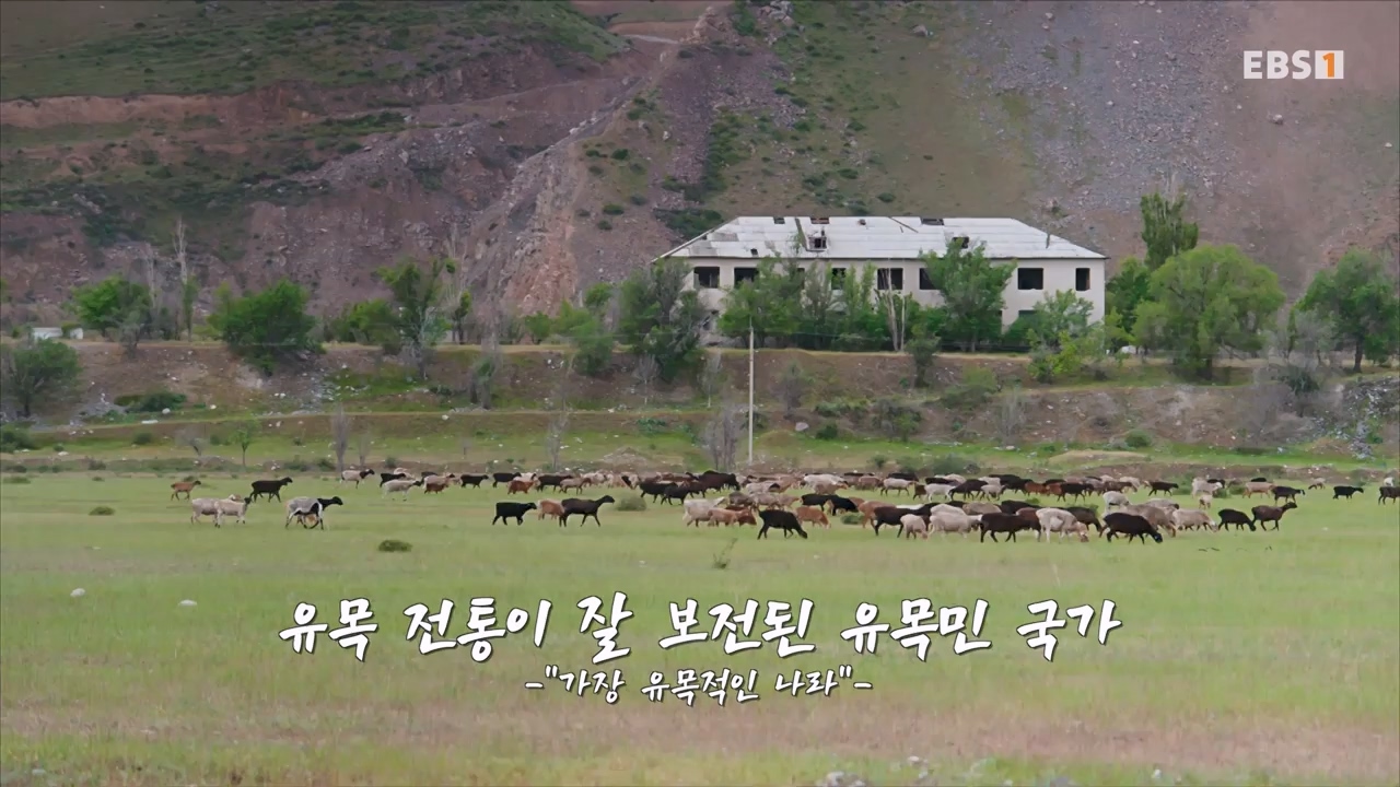 TV - 전 국민의 평생학교 EBS곽준빈의 기사식당 IN 키르기스스탄.mp4_20230804_213030.004.jpg