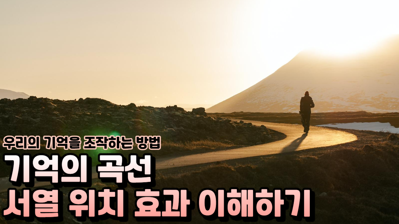  기억과 학습에 중요한 역할을 하는 서열 위치 효과 이해하기
