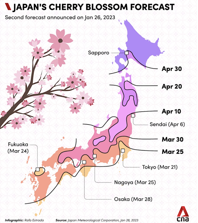  2023년 일본 벚꽃 개화 및 만개 시기 및 벚꽃 명소 (도쿄, 오사카, 후쿠오카)