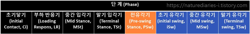 보행주기 단계 ; 초기닿기(iC) / 부하 반응기(LR) / 중간 입각기(MSt) / 말기 입각기(TSt) / 전유각기 / 초기 유각기 / 중간 유각기 / 말기 유각기