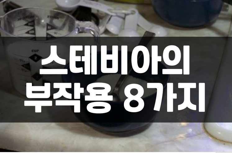  스테비아의 부작용 8가지 소화, 알레르기, 체중증가 까지