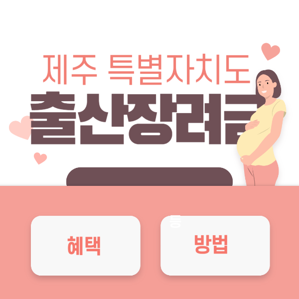 제주 특별자치도 출산지원금 출산장려금 신청방법 지원대상 금액 첫만남이용권