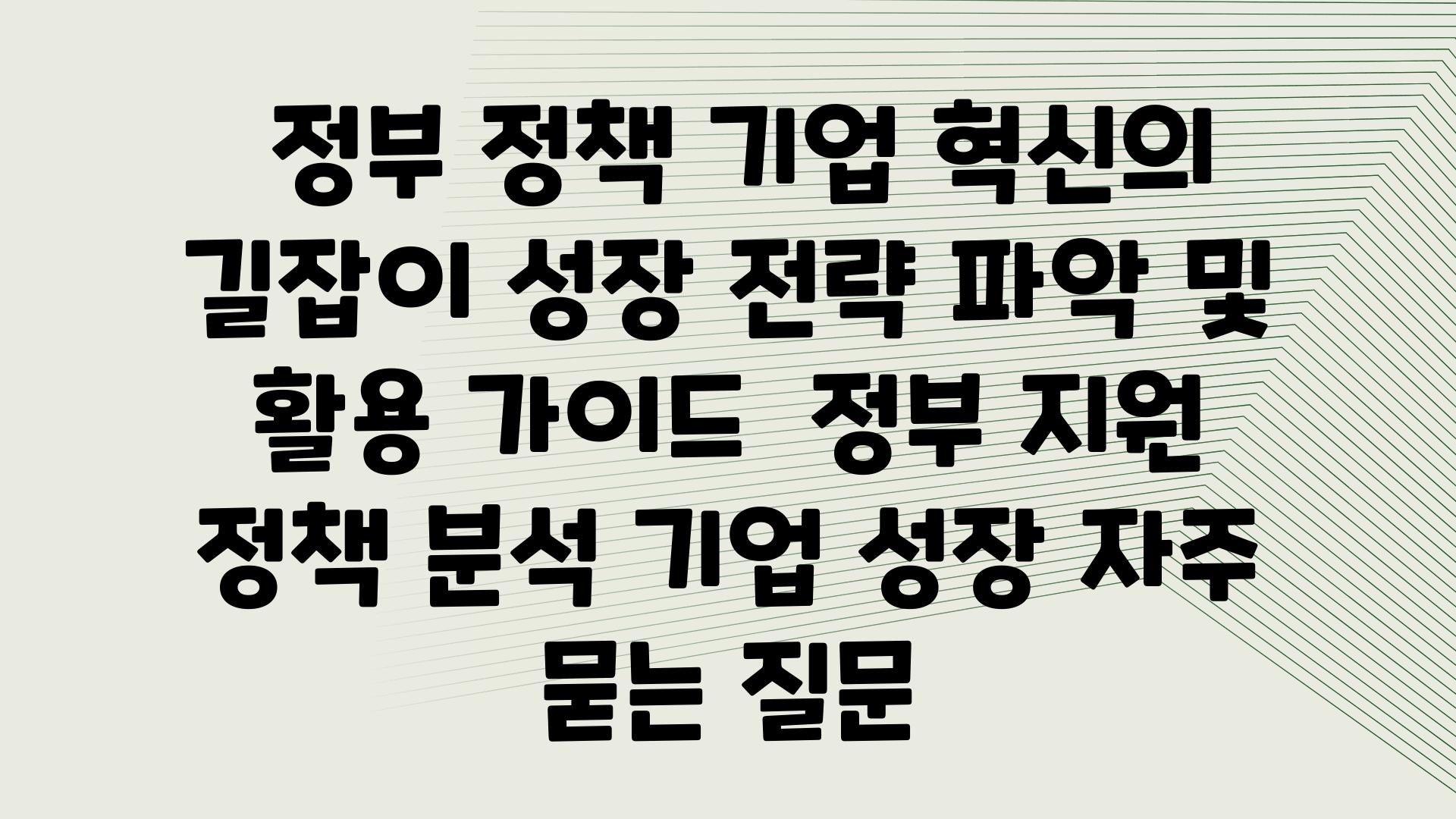  정부 정책 기업 혁신의 길잡이 성장 전략 파악 및 활용 설명서  정부 지원 정책 분석 기업 성장 자주 묻는 질문