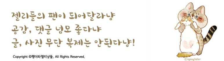 샴 고양이 털빠짐 샴고양이 종류와 29