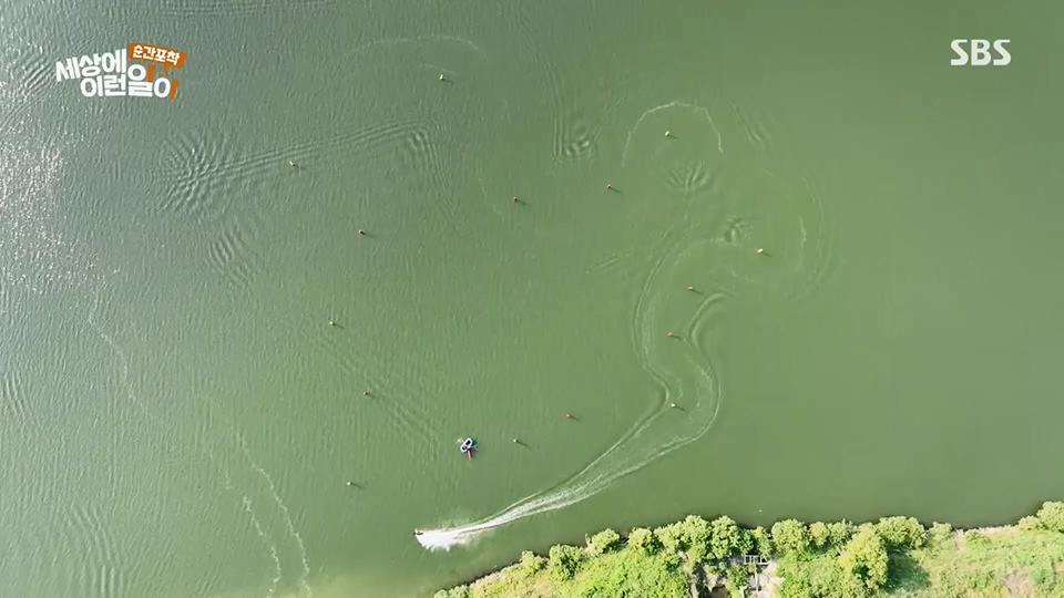 순간포착 세상에 이런일이.E1233.230617p.H264-F1RST.mp4_20230618_175940.527.jpg