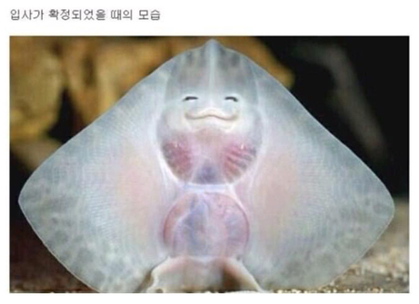 입사 전후 모습