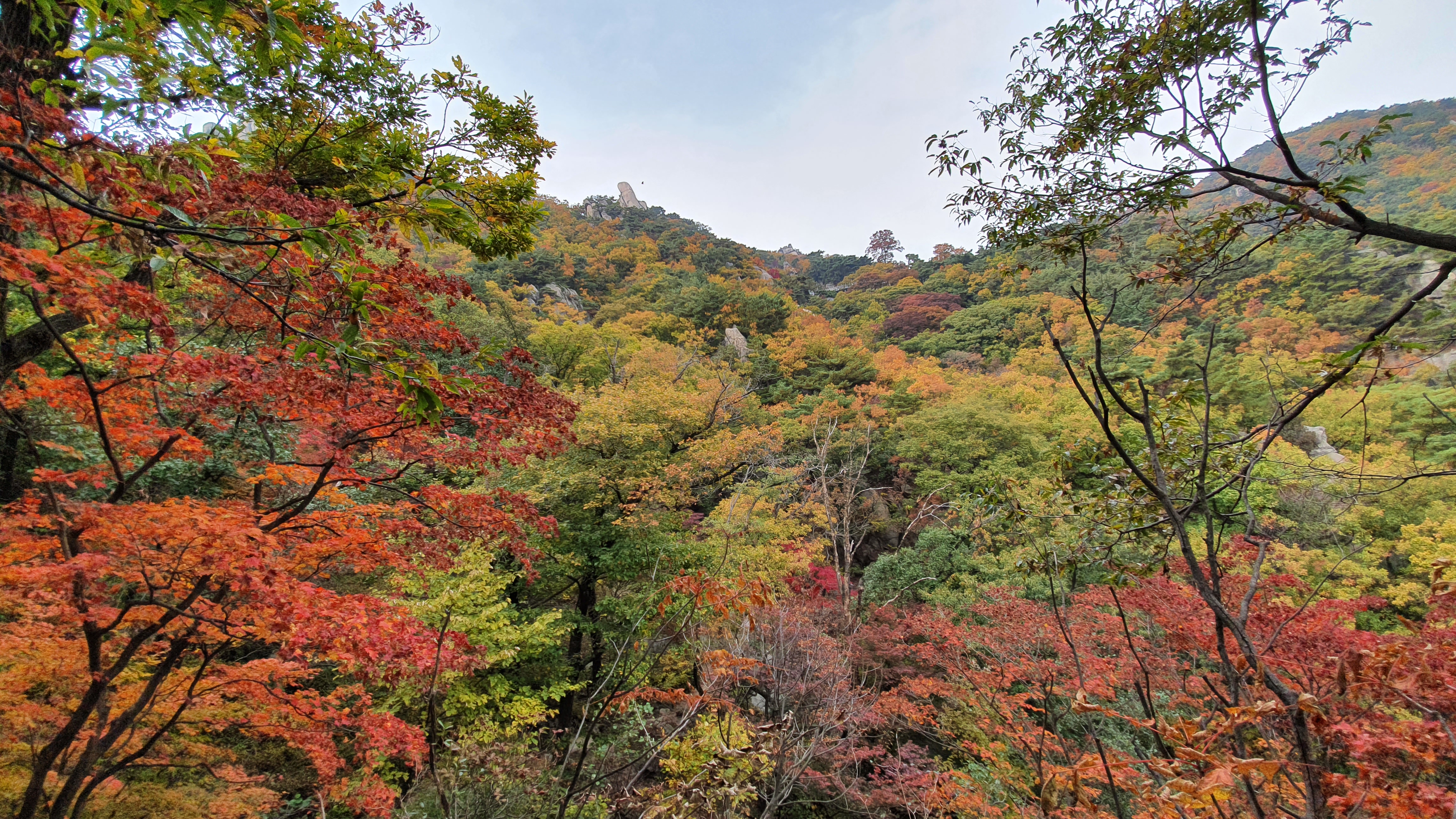 북한산 (2020-10-21) 54