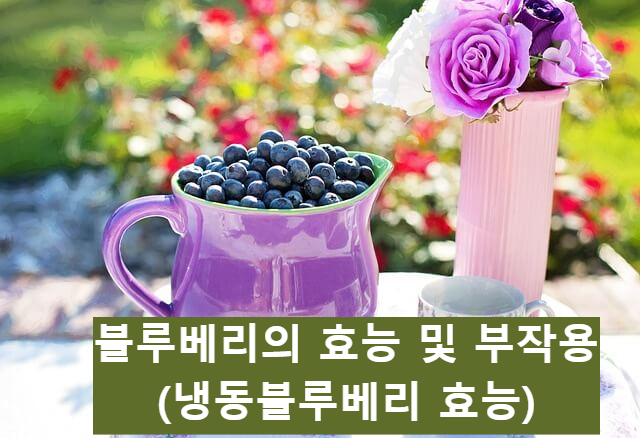 블루베리의 효능및부작용(냉동블루베리)